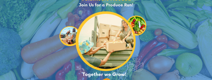 Produce Run Volunteer Needed in Maui