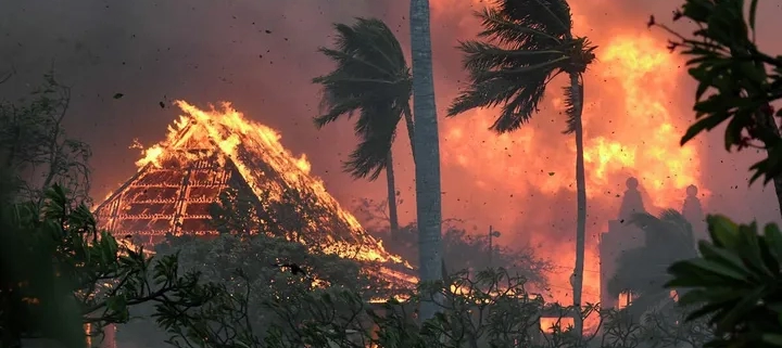 Iconic Lahaina Fire image