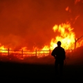 Fireman watching the fire in Maui